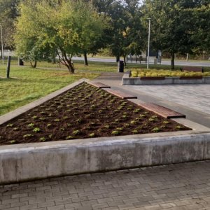 Park kieszonkowy na osiedlu Centrum zyskał nowe oblicze