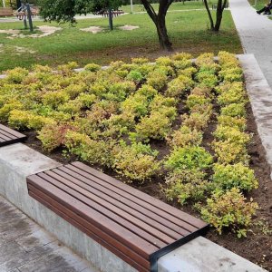 Park kieszonkowy na osiedlu Centrum zyskał nowe oblicze