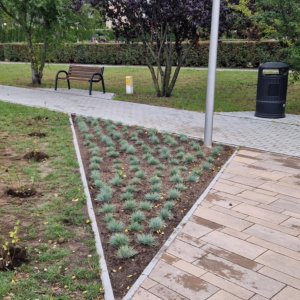 Park kieszonkowy na osiedlu Centrum zyskał nowe oblicze